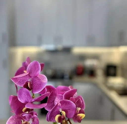 Daire Endless Bleu Andros Island Aprovaton